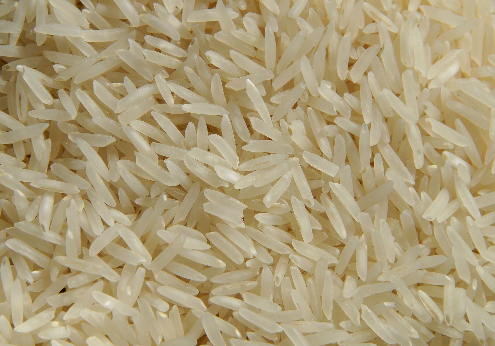 rice-960627_1920
